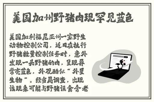 欧美精品A∨一区二区三区